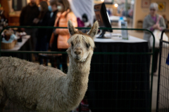 January 10, 2023: Senator Kearney attends the 2023 Pennsylvania Farm Show.