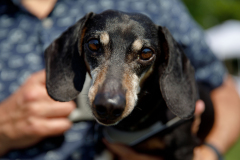 May 21, 2022: Senator Kearney partners with state Rep. Leanne Kruger for a Pet Expo. Local pet owners were invited to come out with their pets and enjoy a day of fun that included pets available for adoption, vendors, giveaways, treats, low-cost vaccines & microchips, and more.