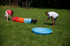 May 21, 2022: Senator Kearney partners with state Rep. Leanne Kruger for a Pet Expo. Local pet owners were invited to come out with their pets and enjoy a day of fun that included pets available for adoption, vendors, giveaways, treats, low-cost vaccines & microchips, and more.