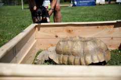 May 21, 2022: Senator Kearney partners with state Rep. Leanne Kruger for a Pet Expo. Local pet owners were invited to come out with their pets and enjoy a day of fun that included pets available for adoption, vendors, giveaways, treats, low-cost vaccines & microchips, and more.