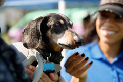 May 21, 2022: Senator Kearney partners with state Rep. Leanne Kruger for a Pet Expo. Local pet owners were invited to come out with their pets and enjoy a day of fun that included pets available for adoption, vendors, giveaways, treats, low-cost vaccines & microchips, and more.