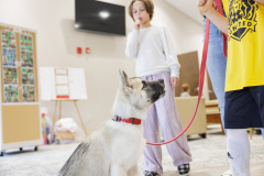 Pet Expo