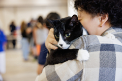 Pet Expo