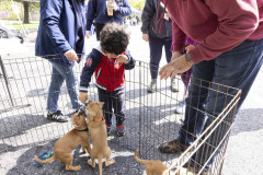 April 20, 2024: Sen. Kearney, along with state Rep. Lisa Borowski, hosted his annual Pet Expo at Newtown Square Presbyterian Church in Newtown Township, Delaware County.
