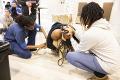 April 20, 2024: Sen. Kearney, along with state Rep. Lisa Borowski, hosted his annual Pet Expo at Newtown Square Presbyterian Church in Newtown Township, Delaware County.
