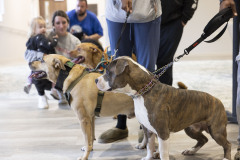 April 20, 2024: Sen. Kearney, along with state Rep. Lisa Borowski, hosted his annual Pet Expo at Newtown Square Presbyterian Church in Newtown Township, Delaware County.