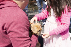 April 20, 2024: Sen. Kearney, along with state Rep. Lisa Borowski, hosted his annual Pet Expo at Newtown Square Presbyterian Church in Newtown Township, Delaware County.20.24 Kearney Pet Expo