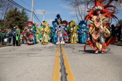 March 16, 2019: Senator Kearney celebrates St. Patrick's Day in Springfield, Pennsylvania.