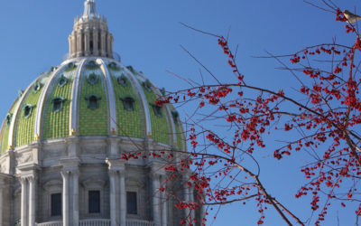 Senator Tim Kearney Appointed to Influential Senate Committees