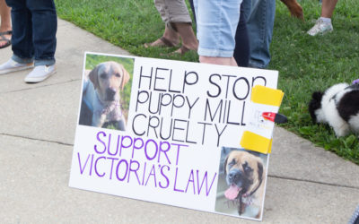 Senators Kearney, Killion, and Dinniman Welcome Heather Mitts to the Capitol, Urge Support for Victoria’s Law